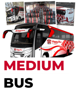 mediumbus-image-happybus